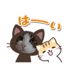 武居familiar12（個別スタンプ：21）