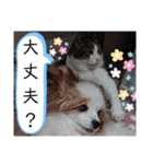 武居familiar12（個別スタンプ：22）