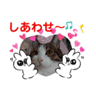 武居familiar12（個別スタンプ：29）
