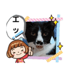 武居familiar12（個別スタンプ：30）