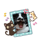 武居familiar12（個別スタンプ：31）