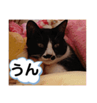 武居familiar12（個別スタンプ：35）