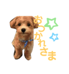 つなくんのすたんぷ（個別スタンプ：7）