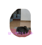 yuu19951011（個別スタンプ：2）