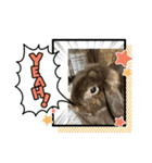 yuu19951011（個別スタンプ：7）