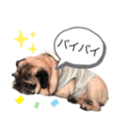 みつな♡こてつスタンプ（個別スタンプ：23）
