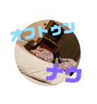 今日の夜空いてるカナ(^o^)（個別スタンプ：4）