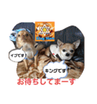King Mars02（個別スタンプ：8）