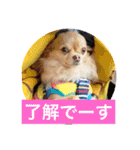King Mars02（個別スタンプ：9）
