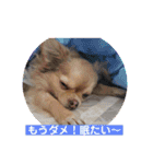 King Mars02（個別スタンプ：11）