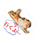 King Mars02（個別スタンプ：12）