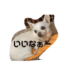 King Mars02（個別スタンプ：13）