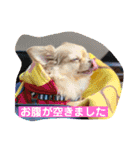 King Mars02（個別スタンプ：14）