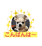 King Mars02（個別スタンプ：16）
