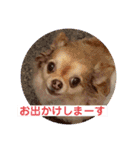 King Mars02（個別スタンプ：26）