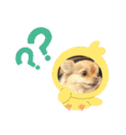 King Mars02（個別スタンプ：29）