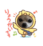 King Mars02（個別スタンプ：31）
