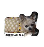 King Mars02（個別スタンプ：33）