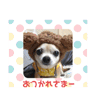 King Mars02（個別スタンプ：35）