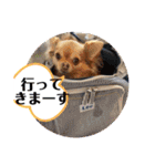 King Mars02（個別スタンプ：37）