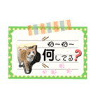 ねこメモ（個別スタンプ：5）