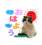 キキです。キキと申します。（個別スタンプ：1）
