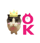 キキです。キキと申します。（個別スタンプ：3）