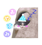 キキです。キキと申します。（個別スタンプ：4）