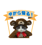 キキです。キキと申します。（個別スタンプ：5）