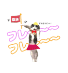 キキです。キキと申します。（個別スタンプ：10）