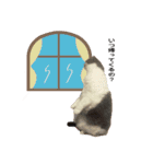 キキです。キキと申します。（個別スタンプ：11）