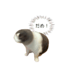 キキです。キキと申します。（個別スタンプ：15）
