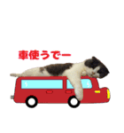 キキです。キキと申します。（個別スタンプ：22）