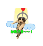 キキです。キキと申します。（個別スタンプ：24）