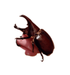 謝り（個別スタンプ：8）