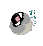 ぶんちょうちゃん（個別スタンプ：1）