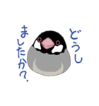 ぶんちょうちゃん（個別スタンプ：4）