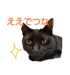 かんちゃんアンドぱっつん（個別スタンプ：2）