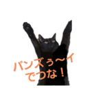 かんちゃんアンドぱっつん（個別スタンプ：4）