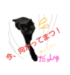 かんちゃんアンドぱっつん（個別スタンプ：5）