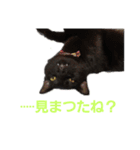 かんちゃんアンドぱっつん（個別スタンプ：6）