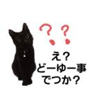 かんちゃんアンドぱっつん（個別スタンプ：13）