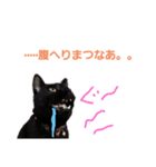 かんちゃんアンドぱっつん（個別スタンプ：16）