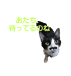 かんちゃんアンドぱっつん（個別スタンプ：20）