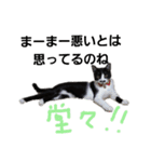 かんちゃんアンドぱっつん（個別スタンプ：23）
