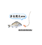 BARASHIMASUスタンプ(チヌ編)（個別スタンプ：1）