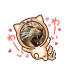 我が家の半目のとらおくん（個別スタンプ：2）