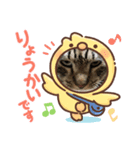 我が家の半目のとらおくん（個別スタンプ：3）