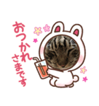我が家の半目のとらおくん（個別スタンプ：4）