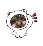 我が家の半目のとらおくん（個別スタンプ：6）